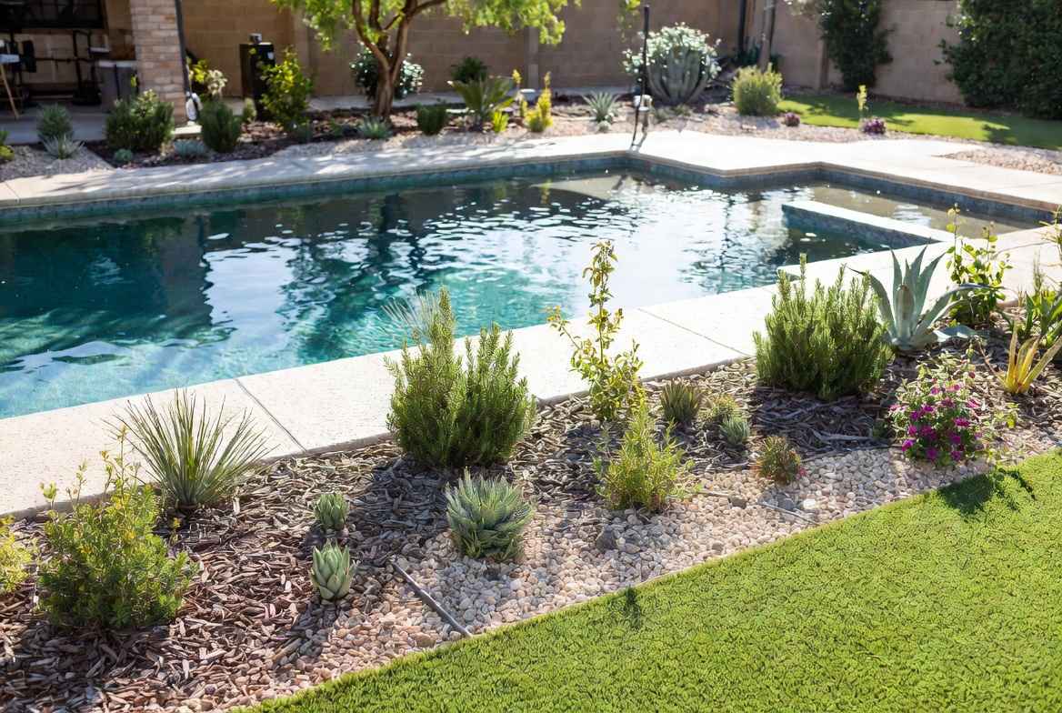 natural swimming pool
chemical free pool
can you have a pool without chemicals Texas