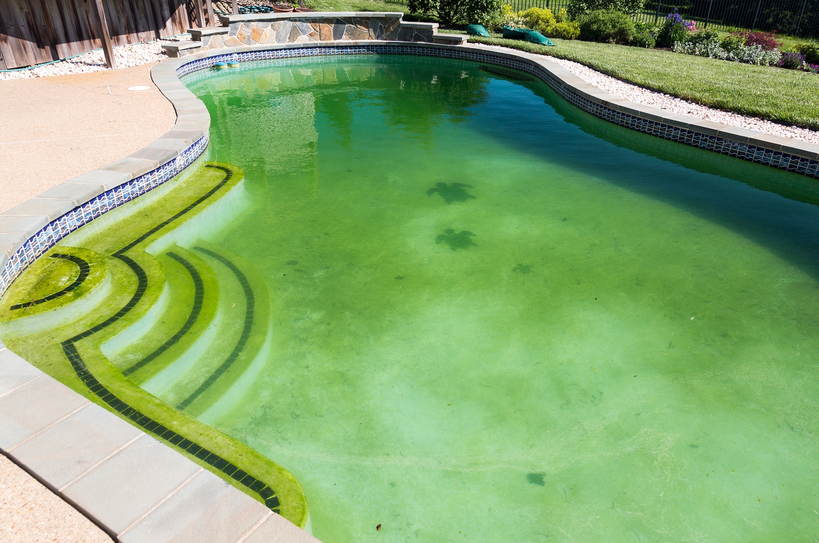 phosphates in pool water how to remove phosphates from pool what causes phosphates in pool