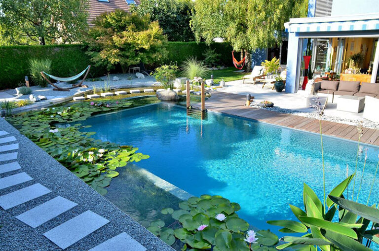 natural swimming pool chemical free pool can you have a pool without chemicals Texas