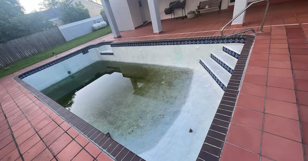 how to fix abandoned pool
neglected pool recovery
pool hasn't been maintained
DFW pool costs