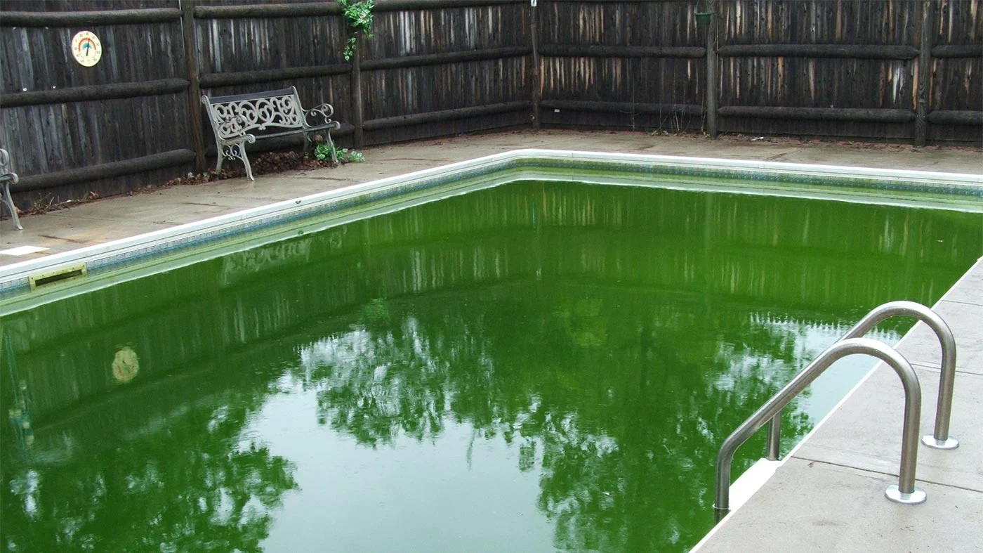 why is my pool green pool water turned brown pool water milky pool water color chart