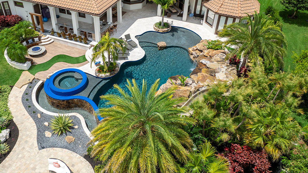 critters in pool, animals in pool, frogs in pool, snakes in pool, ducks in pool