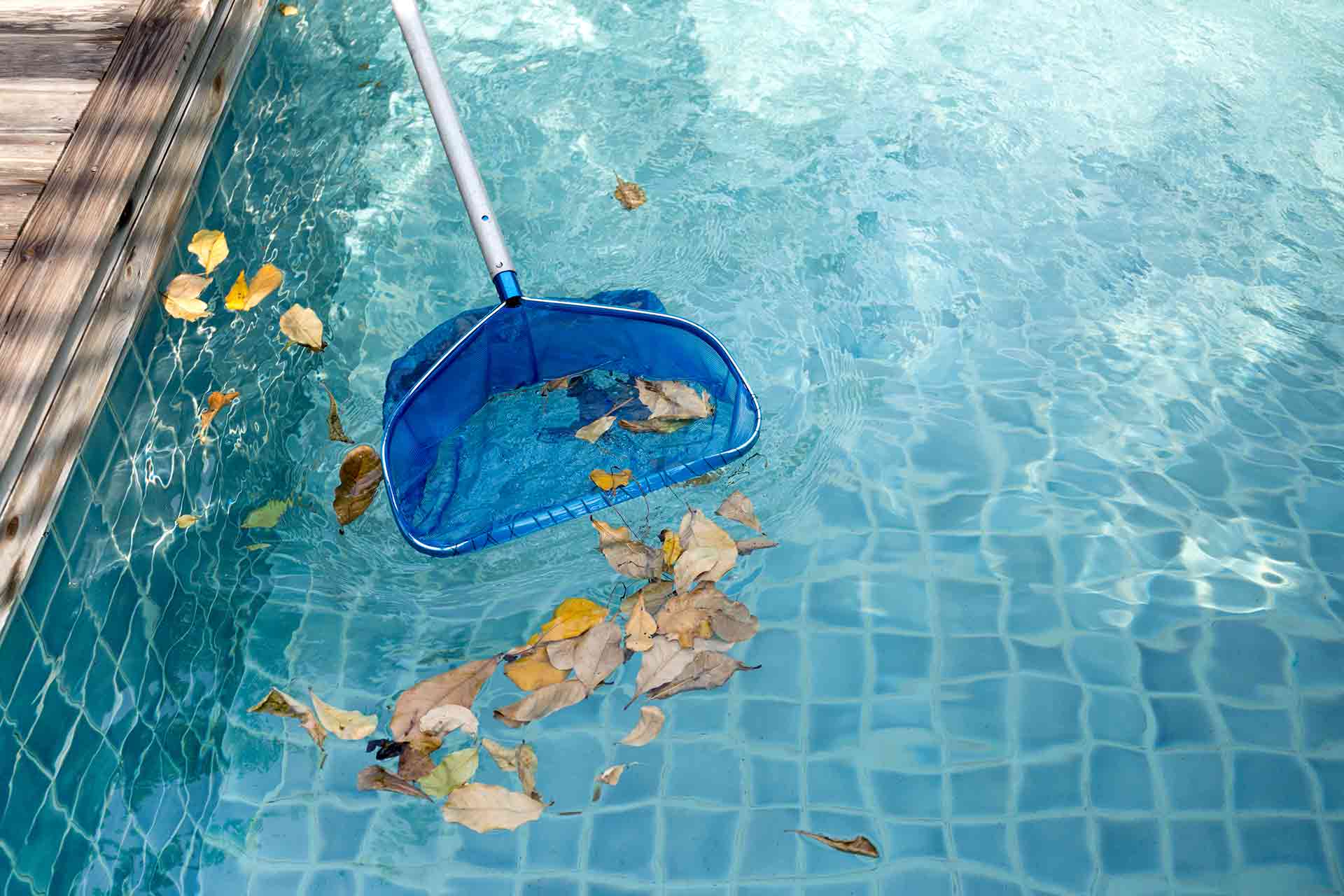 pool cleaning tools pool maintenance tools best pool tools what tools do I need for pool