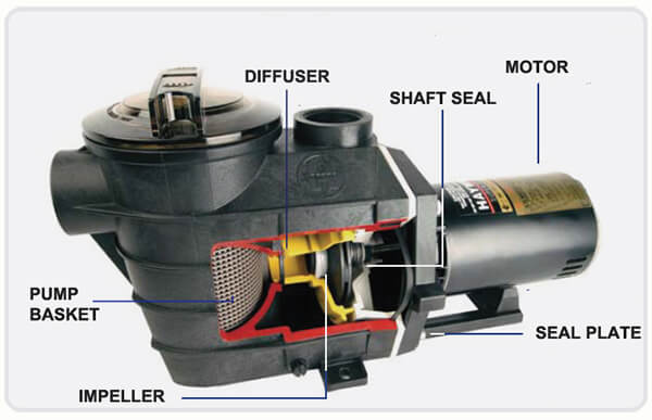 pool pump motor burned out, pool pump motor repair, faulty pool pump signs