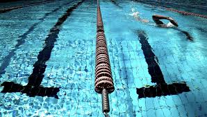 pool cover mold, mold on pool cover, mildew on pool cover, clean pool cover, pool cover storage