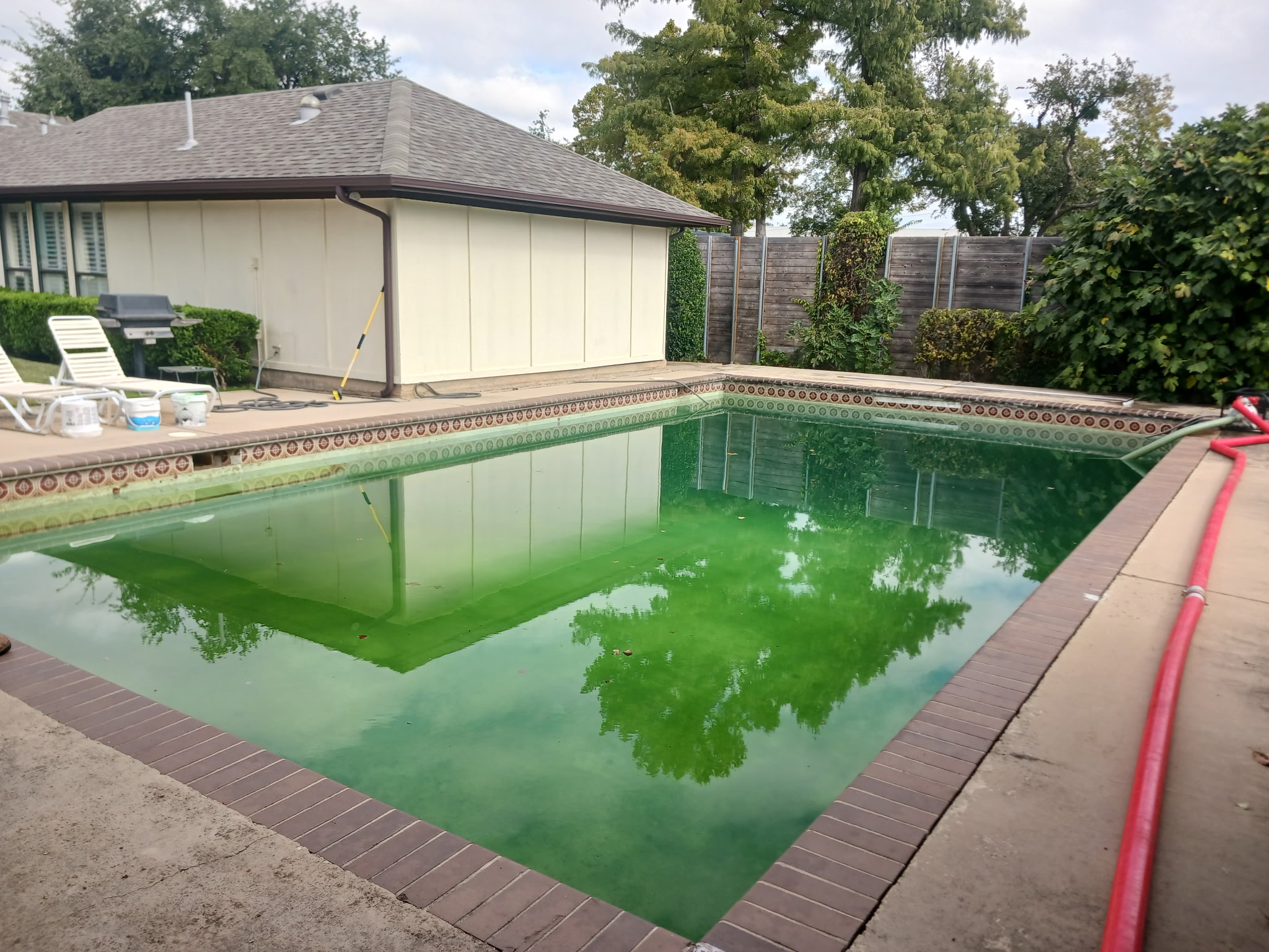 green pool after rain, pool turned green after rain, green pool water, rainwater pool algae, pool shock after rain