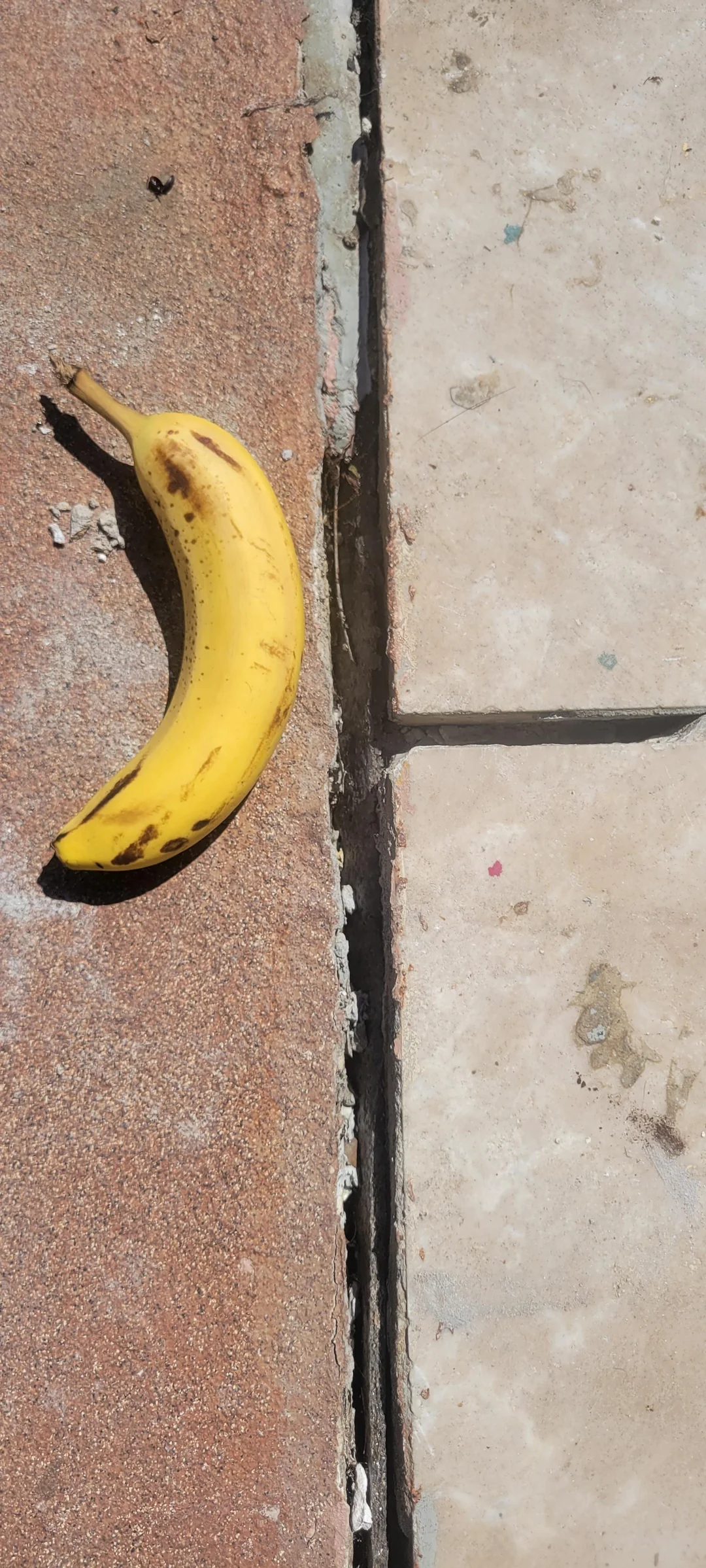 pool tile grout missing, missing pool tile grout, pool tile repair, loose pool tile, pool waterline tile repair