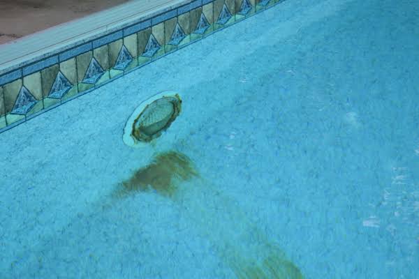pool rust stains, rust stains in pool, iron stains pool, brown pool stains, pool metal stains