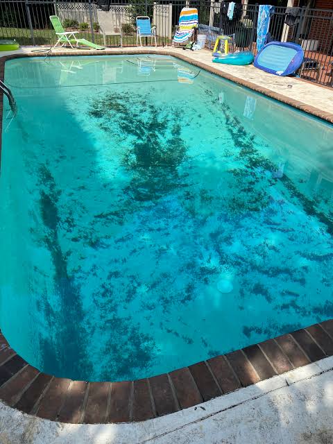 black algae in pool, black pool algae, black spots in pool, algae on pool plaster, pool algae treatment