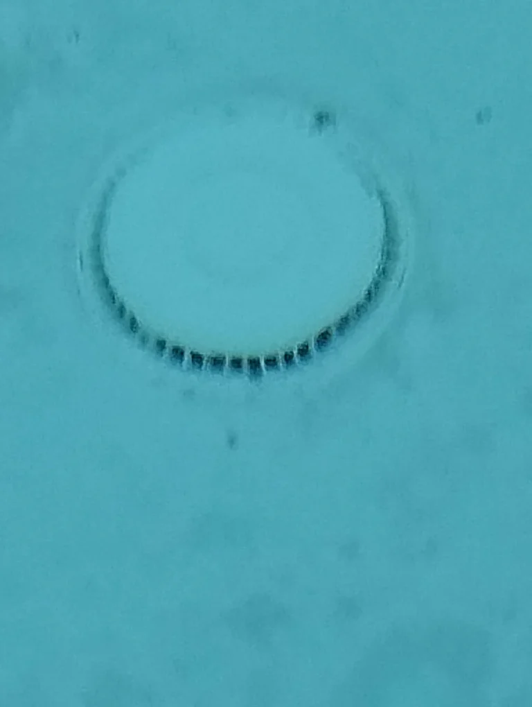 main drain pool suction, pool main drain not working, main drain pool suction, pool drain not pulling water, pool circulation issue, pool suction problem