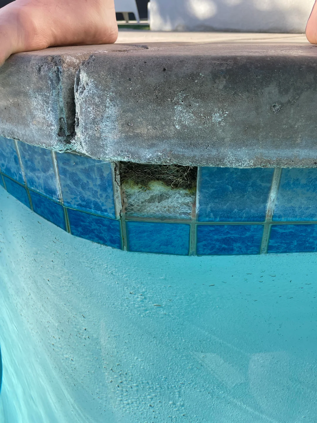pool tile grout missing, missing pool tile grout, pool tile repair, loose pool tile, pool waterline tile repair