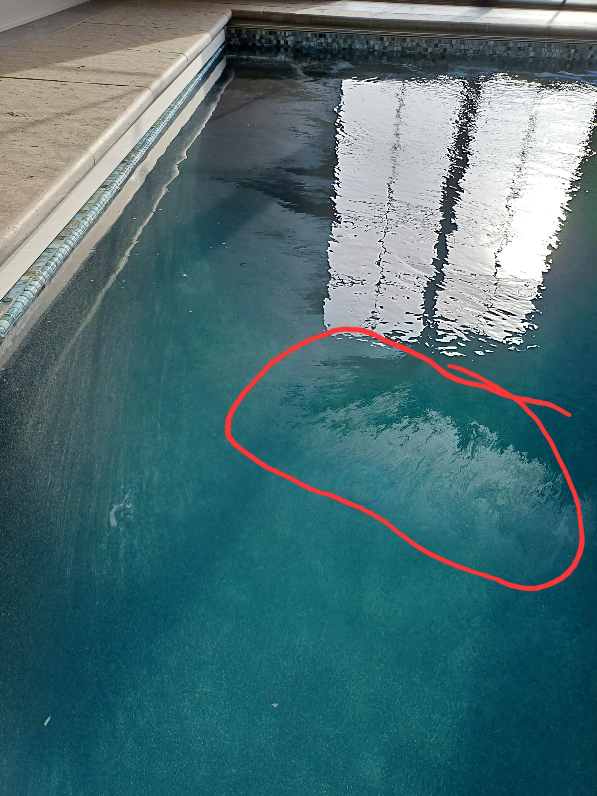 pool waterline scum, scum line, waterline ring pool, oily pool water, sunscreen in pool water