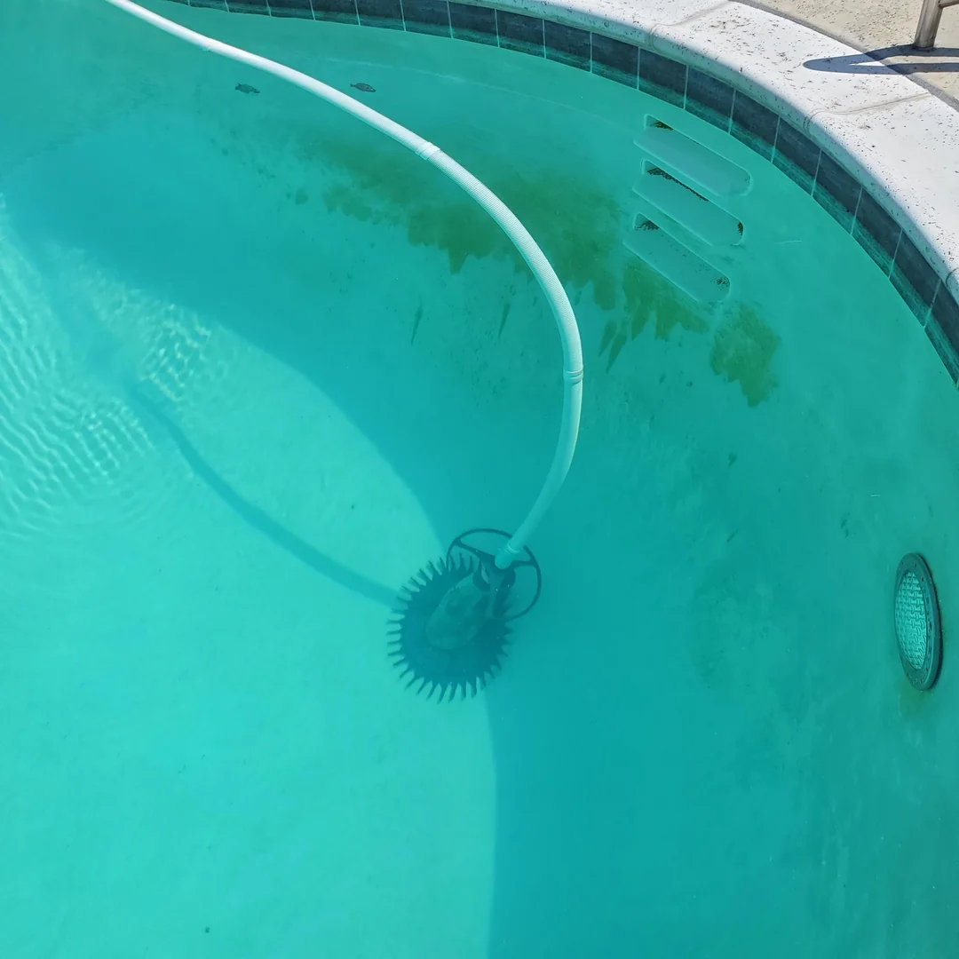 mustard algae, pool pollen vs algae, pollen in pool, yellow algae in pool,pool dust on floor